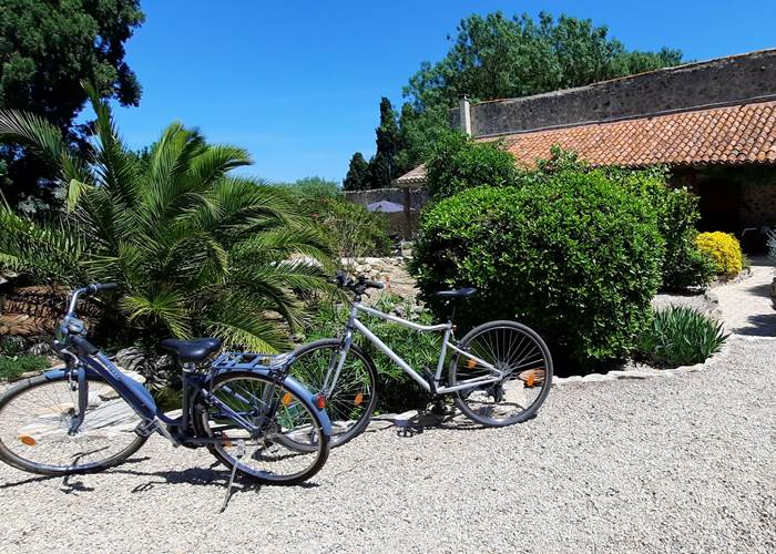 Partez à vélo le long du Canal du Midi