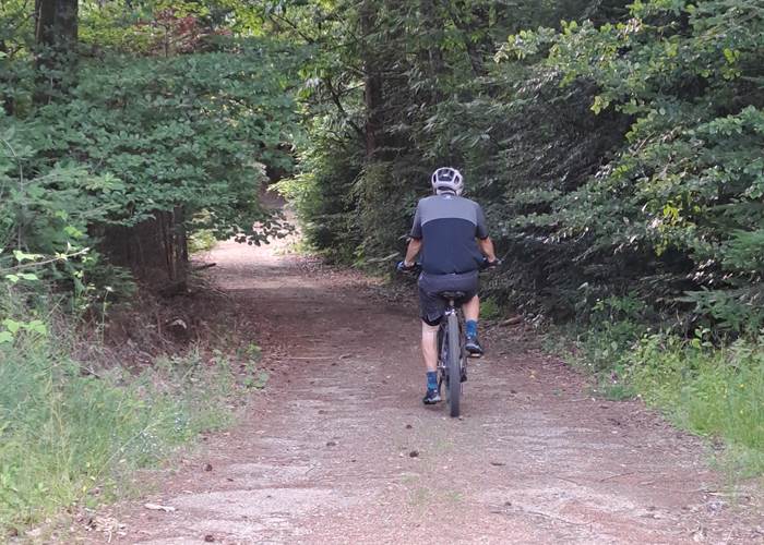 Balade VTT en forêt