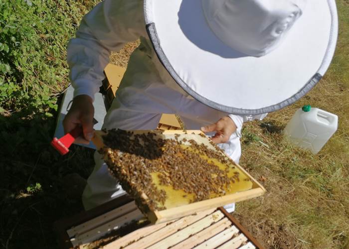 Alain, l'Happy-culteur-page