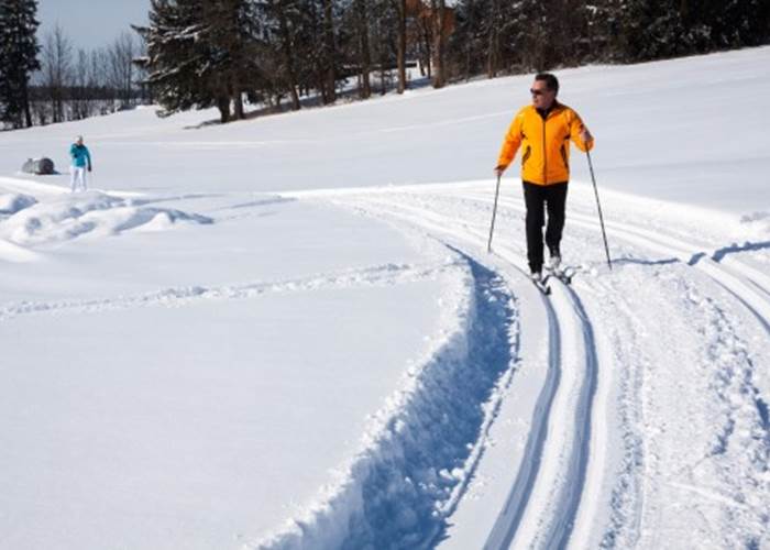 Ski de fond