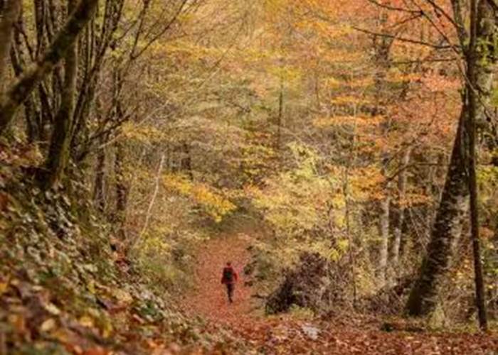 automne dordogne