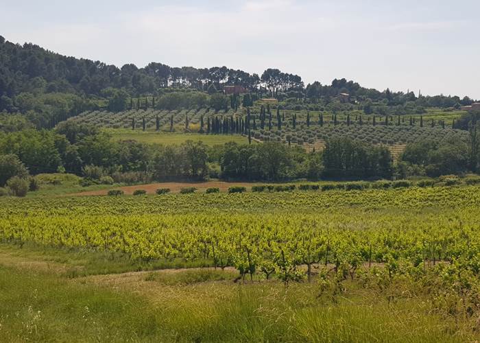 La_petite_toscane_de_provence