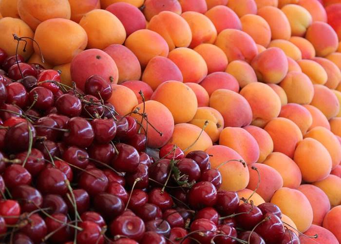 fruits-saison-local-bio