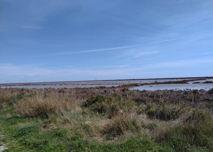 le Coq du Nord -Mailhac part en balade