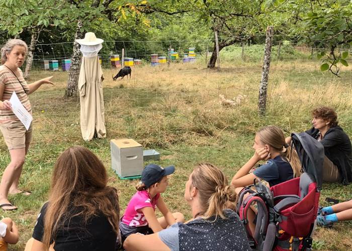 Visite dégustation gratuite explications sur les abeilles