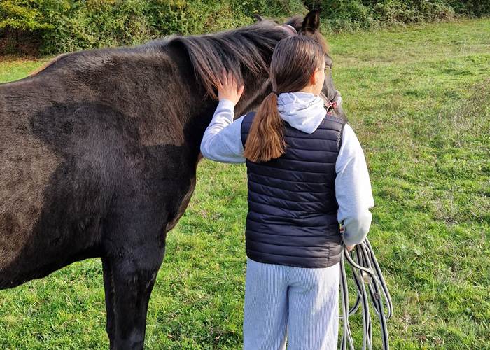 venir avec son cheval