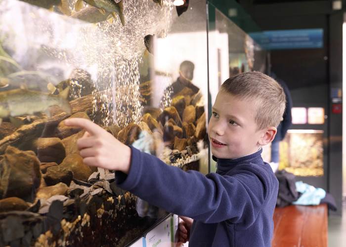 aquariums-poisson-riviere-hotton