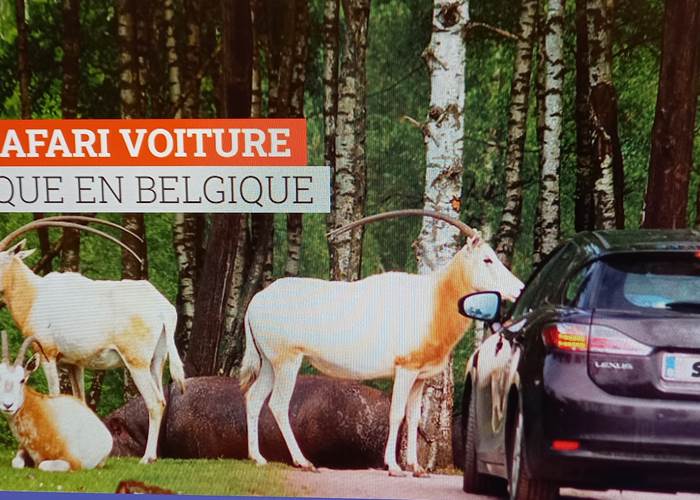 Le Monde Sauvage