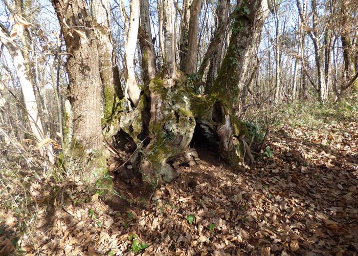 le chemin du lavoir de Pradal-page