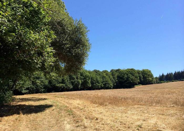 tour d'éléphants, olifantenrondje 4.5 km