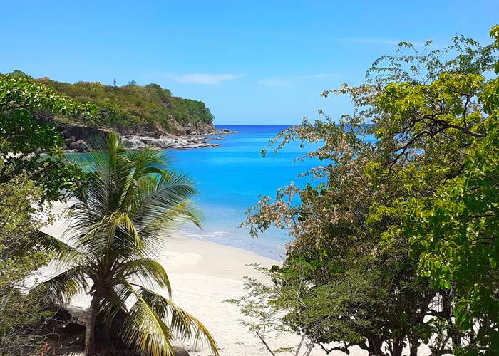 Plage Leroux Deshaies Guadeloupe