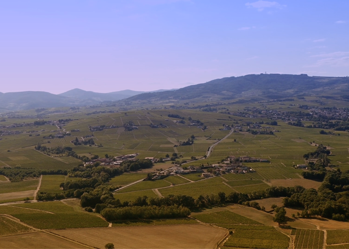 Les coteaux mâconnais et le sud de la Bourgogne-page