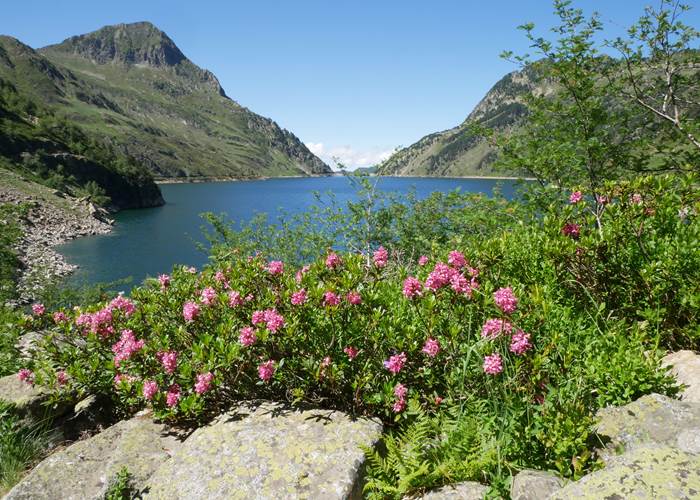 Vallée de l'Orlu
