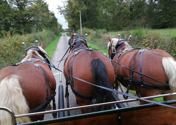 clos-de-l-isop_restaurant_roulotte-a-manger_caleches-de-l-isop_chevaux_vue_meneur