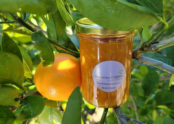 Pot de confiture artisanale orange et gingembre, préparée avec les fruits du jardin au Domaine Cardu.