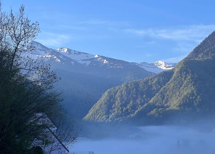 Panorama
