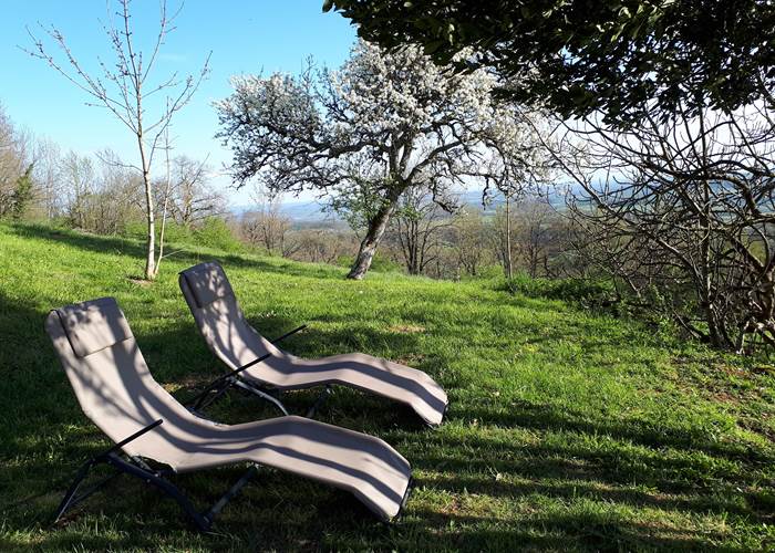 A l'ombre du laurier