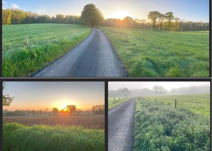 arrivée sur La Guyonnais ...