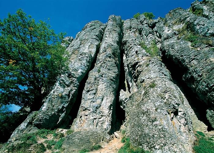 BORT-LES-ORGUES