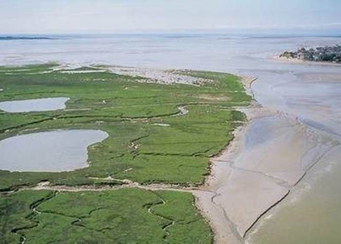 Baie de Somme