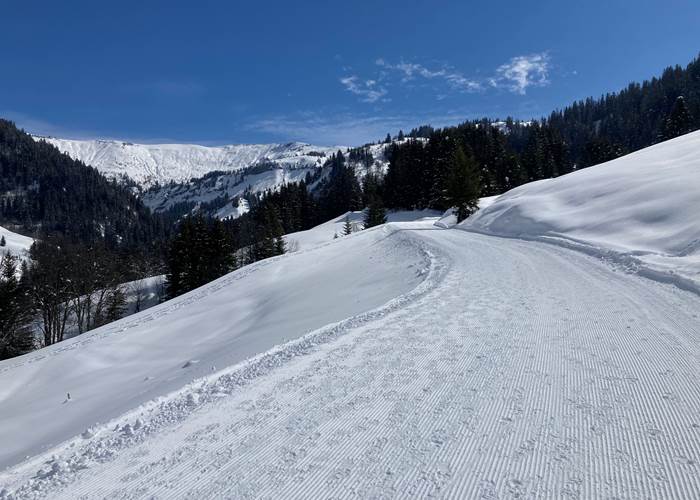 Sur les sentiers piétons et raquettes