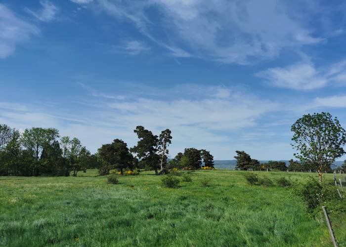 Balade à Loubaresse