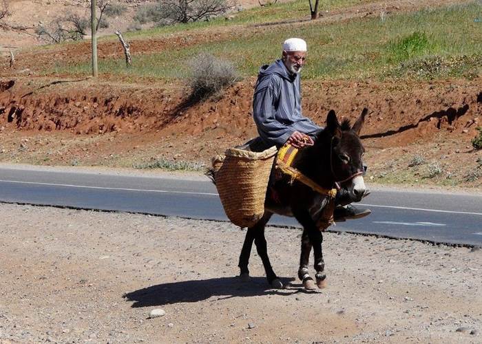 Transport traditionnel dans le sud marocain