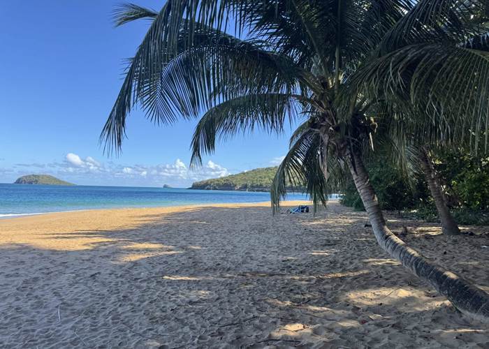 Plage de la perle - Deshaies - Guadeloupe