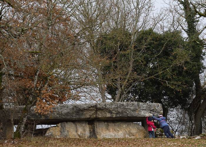 Dolmen de la Pierre-Martine à Livernon
