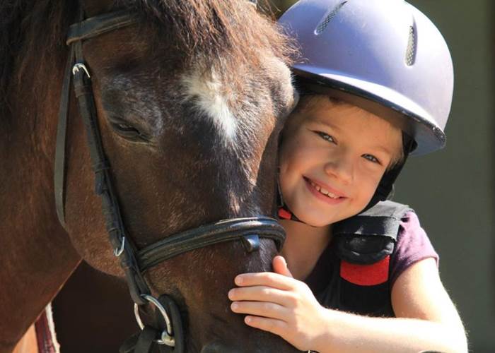 un merveilleux compagnon