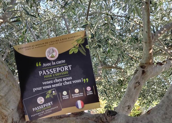 Fête de la Lucques 🫒🫒🫒