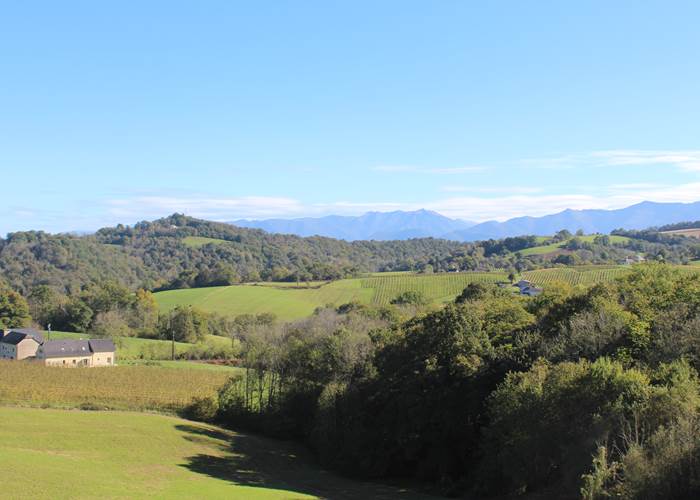 12 Haut-Béarn handiski