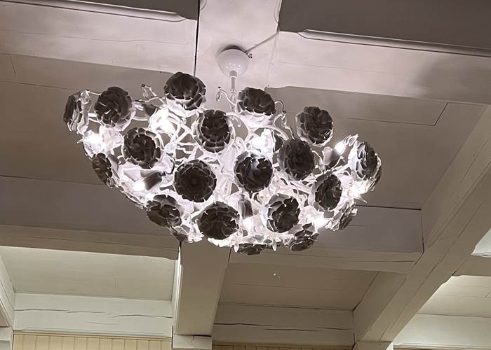 Le bouquet de camélias blanches