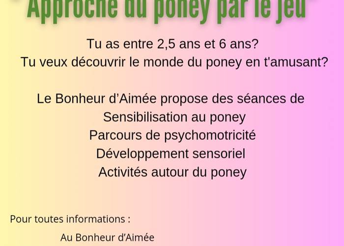 Approche du poney par le jeu