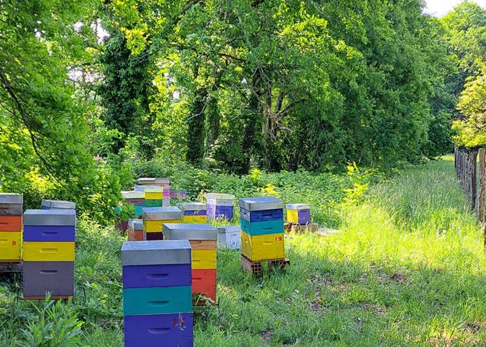 Rucher INYAQAB Dordogne Miel du Périgord