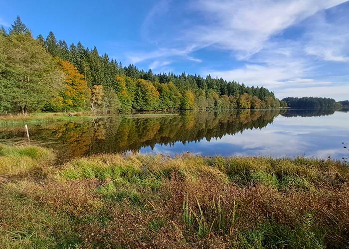 Lac de Sechemaille