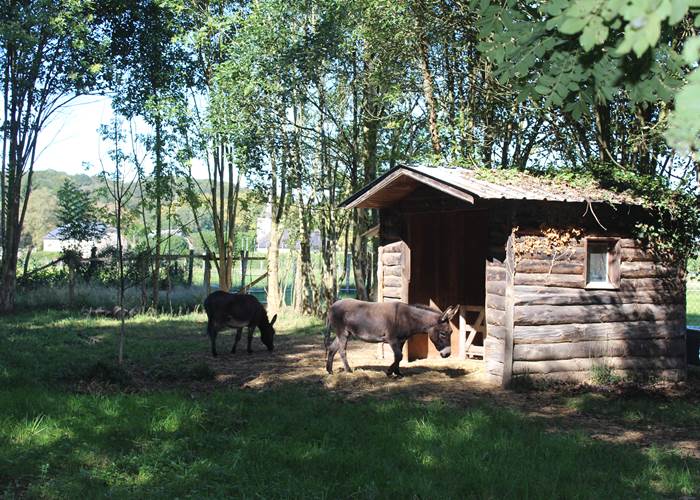 mini-ferme