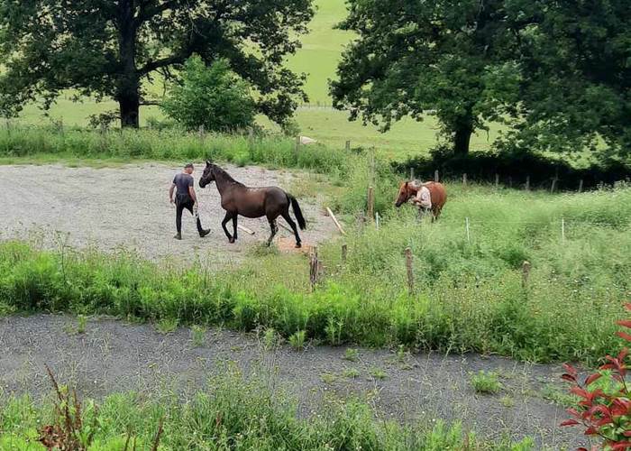 CHEVAUX PAYS BASQUE EQUESTRE