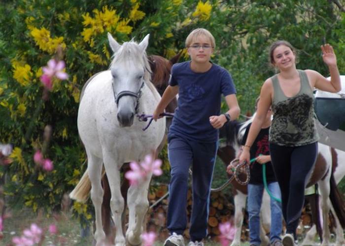 s'occuper des poneys