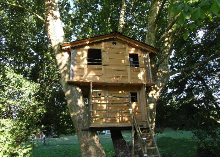 La cabane magique du grand platane