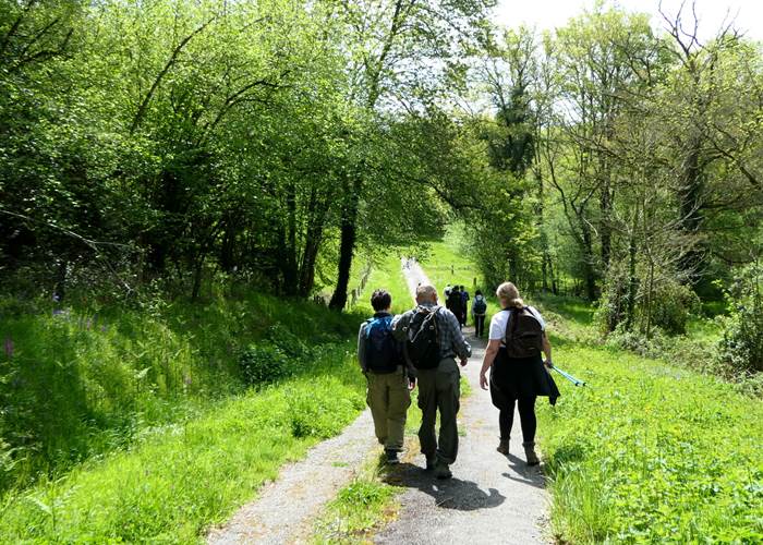 Balades pour découvrir les environs et s'oxygéner