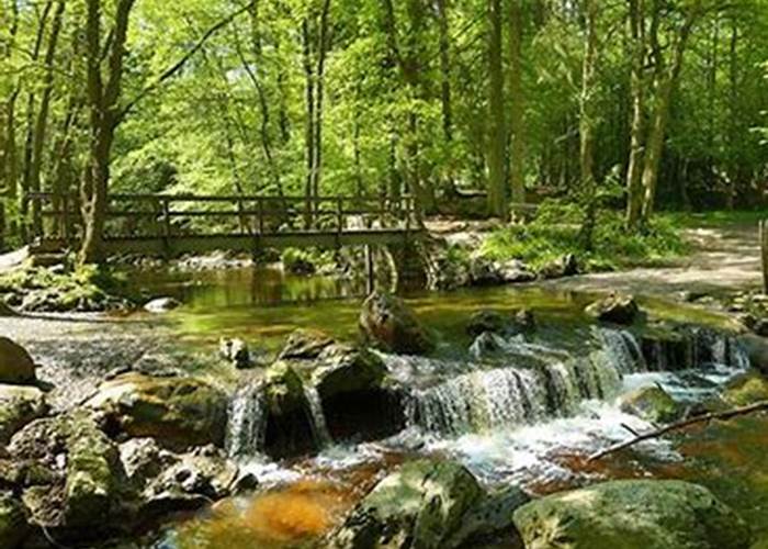 La vallée de la Hoegne