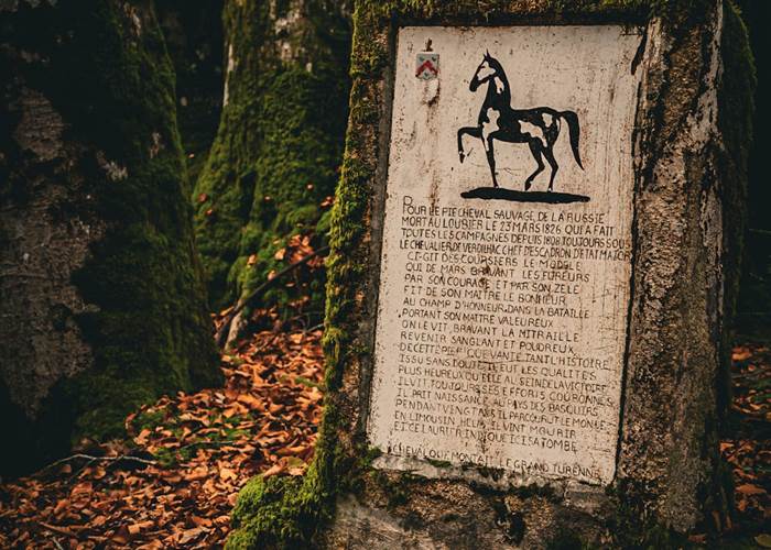 Domaine du Loubier, stèle du cheval