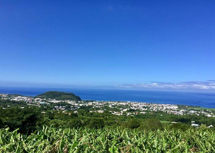 champs de canne et Piton Babet