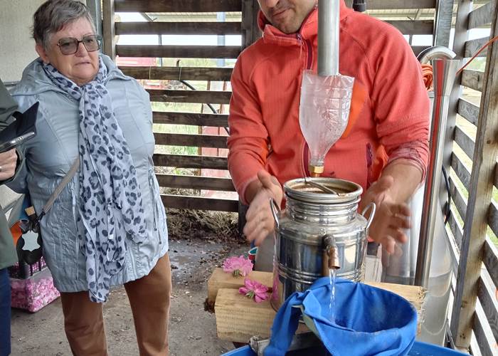 Distillation Les Roumanisses