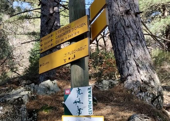 Chemin de St Guilhem le désert