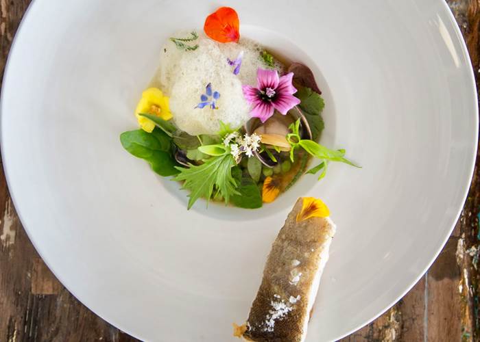 ECEB03C1-7828-4859-A99F-C9A49A0C3E94