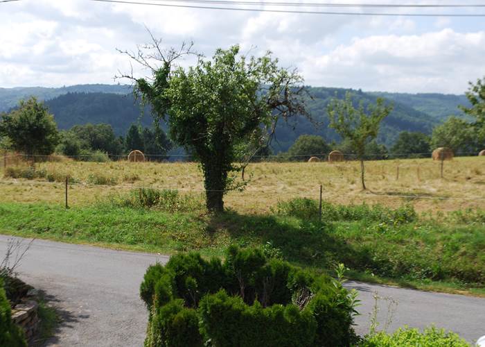 saison des foins, paysage campagnard, vue devant Le Ranch des Lacs