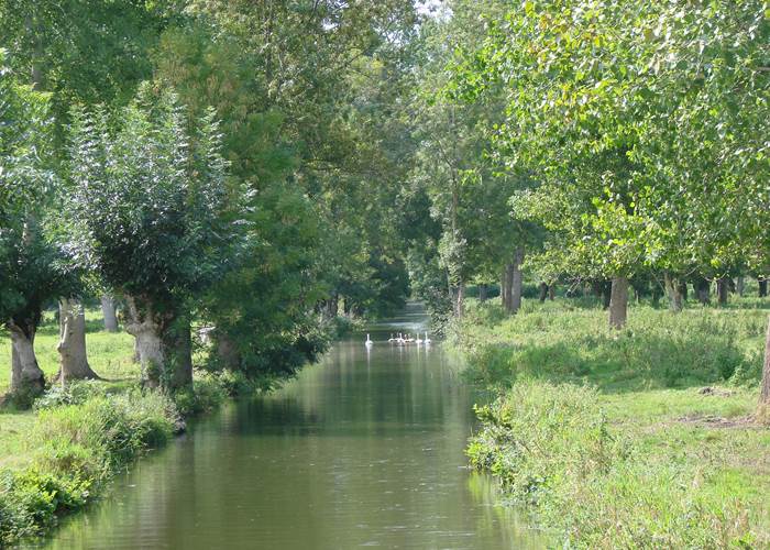 Le Marais Poitevin