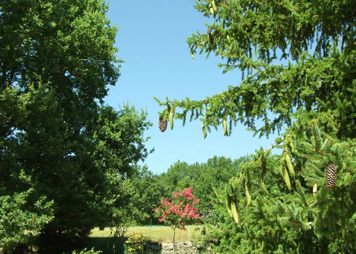 entree-chambres-dhotes-dordogne